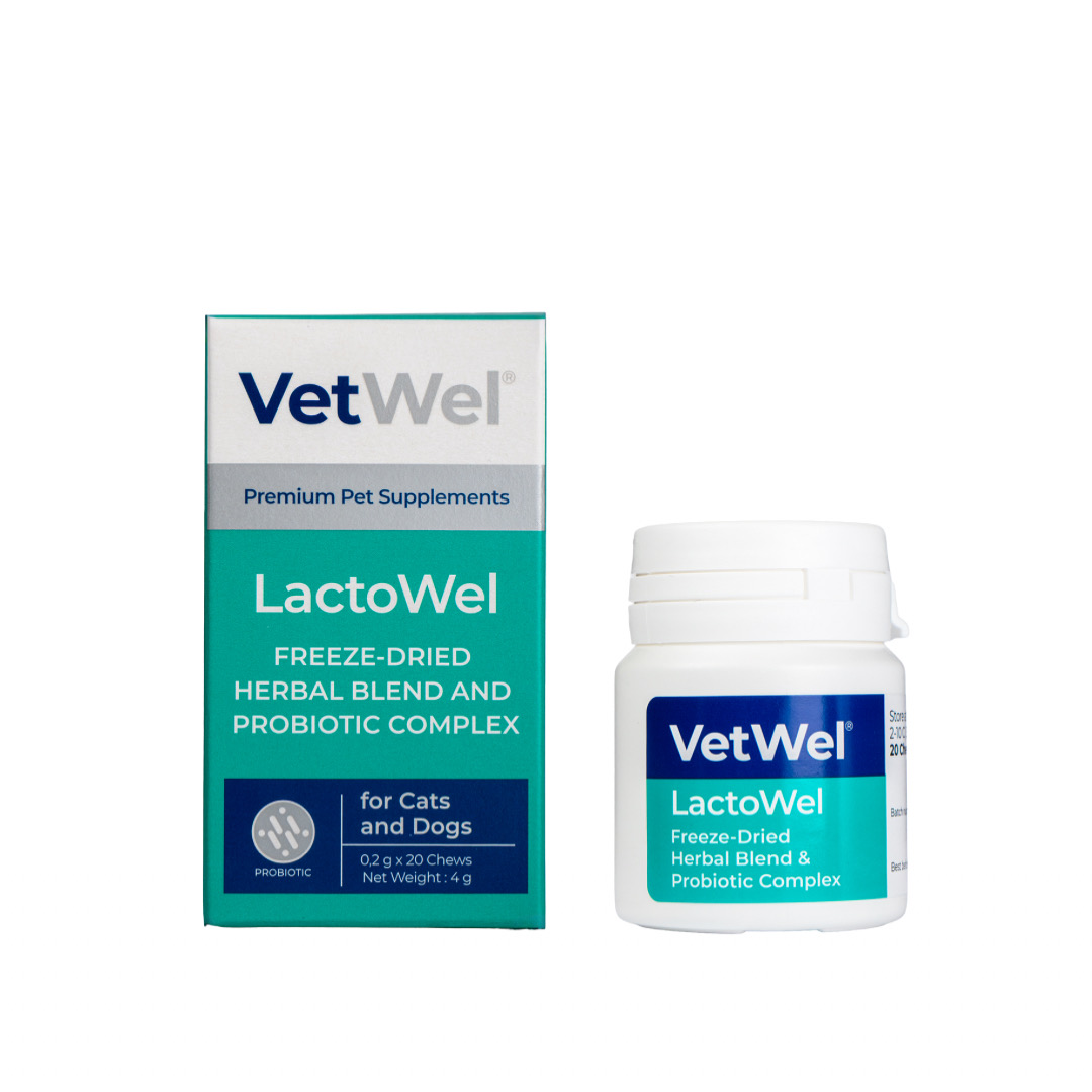 VetWel LactoWel packaging